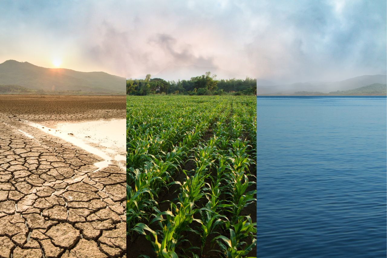 La crisis climática y su impacto en la producción de alimentos en Honduras